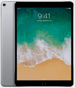 Замена динамика на iPad Pro 9.7' (2016) в Самаре